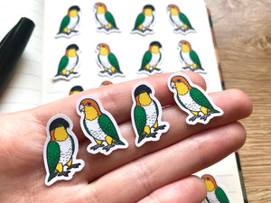 Mixed Caique Mini Sticker Pack (20 pack)