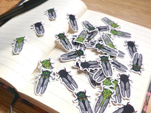 Load image into Gallery viewer, Mixed Cicada Mini Sticker Pack (20 pack)