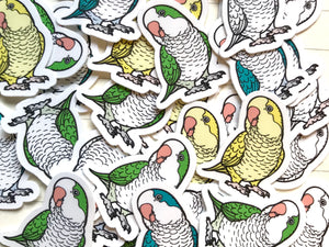 Mixed Quaker Parrot Mini Sticker Pack (20 pack)