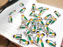 Load image into Gallery viewer, Mixed Caique Mini Sticker Pack (20 pack)