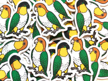 Load image into Gallery viewer, Mixed Caique Mini Sticker Pack (20 pack)
