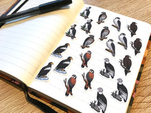 Load image into Gallery viewer, Birds of Prey Mini Sticker Pack (20 pack)