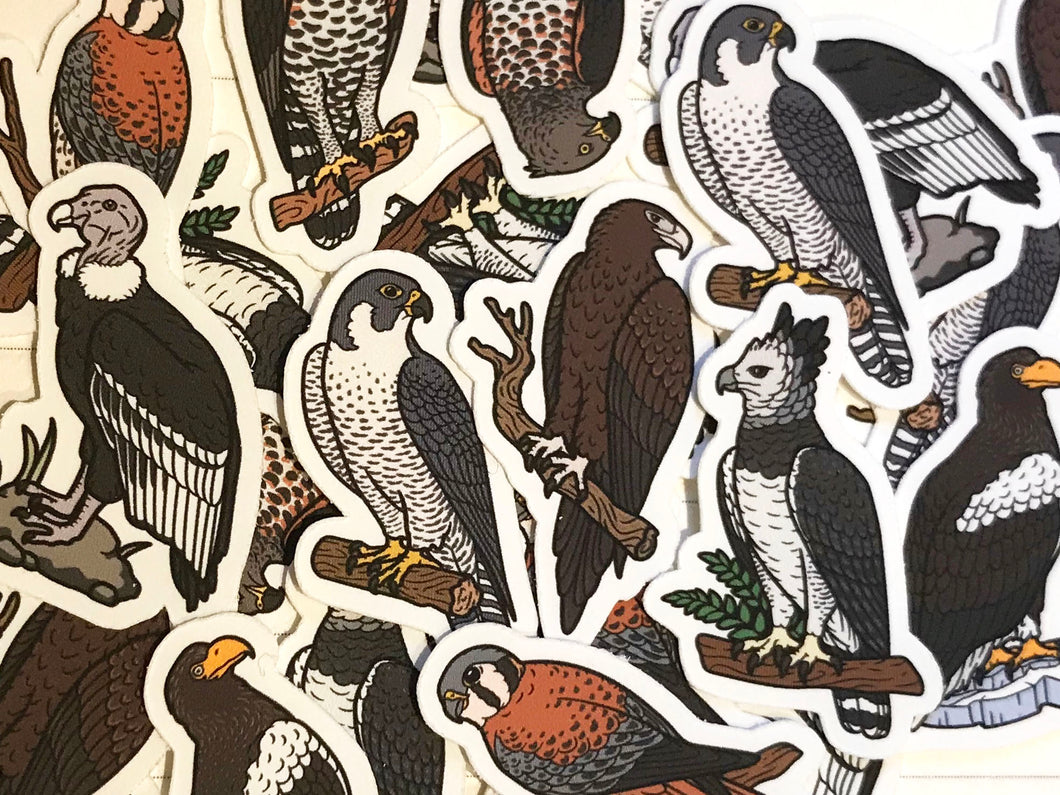 Birds of Prey Mini Sticker Pack (20 pack)