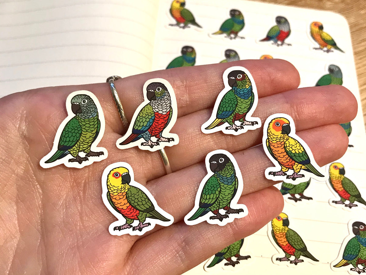 Mixed Conure Mini Sticker Pack (20 pack) – Hyper Finch