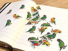 Load image into Gallery viewer, Mixed Conure Mini Sticker Pack (20 pack)