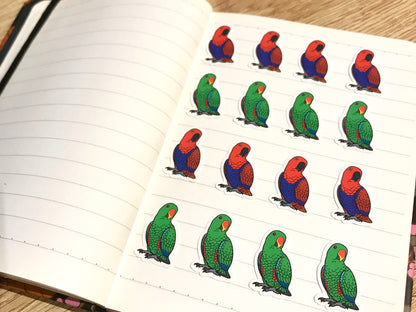 Mixed Eclectus Mini Sticker Pack (20 pack)