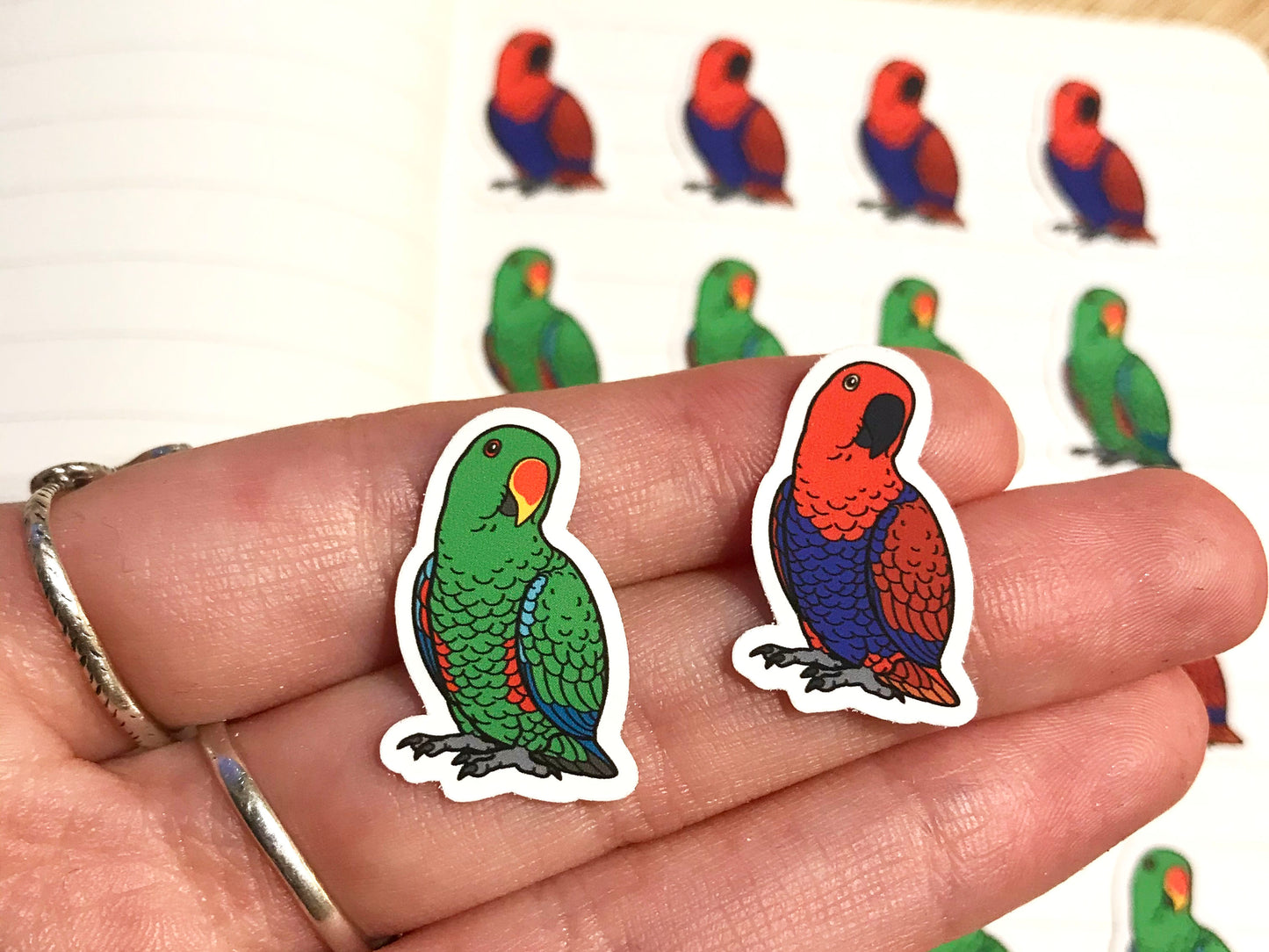 Mixed Eclectus Mini Sticker Pack (20 pack)