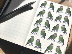 Kakapo Mini Sticker Pack (20 pack)