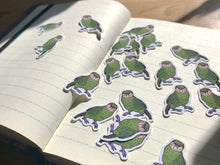 Load image into Gallery viewer, Kakapo Mini Sticker Pack (20 pack)
