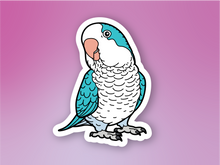 Load image into Gallery viewer, Quaker Parrot Sticker