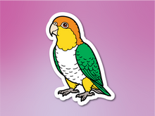 Load image into Gallery viewer, Caique Sticker