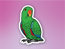 Load image into Gallery viewer, Eclectus Sticker
