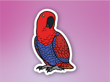 Load image into Gallery viewer, Eclectus Sticker