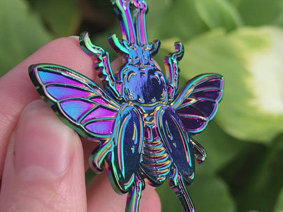 Rainbow Stag Beetle Pin
