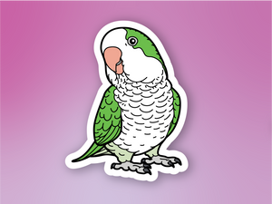 Quaker Parrot Sticker