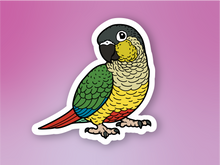 Load image into Gallery viewer, Green Cheek Conure Sticker