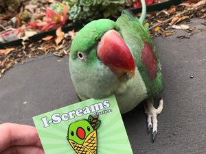 Peppermint Parrot I-Screams Hard Enamel Pin