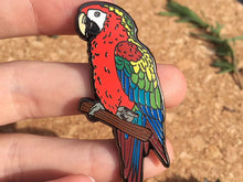 Load image into Gallery viewer, Morgan The Camelot Macaw Hard Enamel Pin