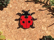 Load image into Gallery viewer, Lady Beetle Hard Enamel Pin