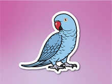 Load image into Gallery viewer, Indian Ringneck Sticker