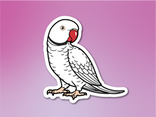 Load image into Gallery viewer, Indian Ringneck Sticker