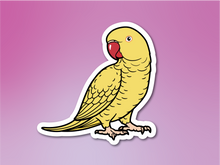 Load image into Gallery viewer, Indian Ringneck Sticker