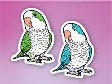 Load image into Gallery viewer, Quaker Parrot Sticker